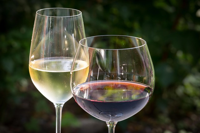 Diccionario básico del vino