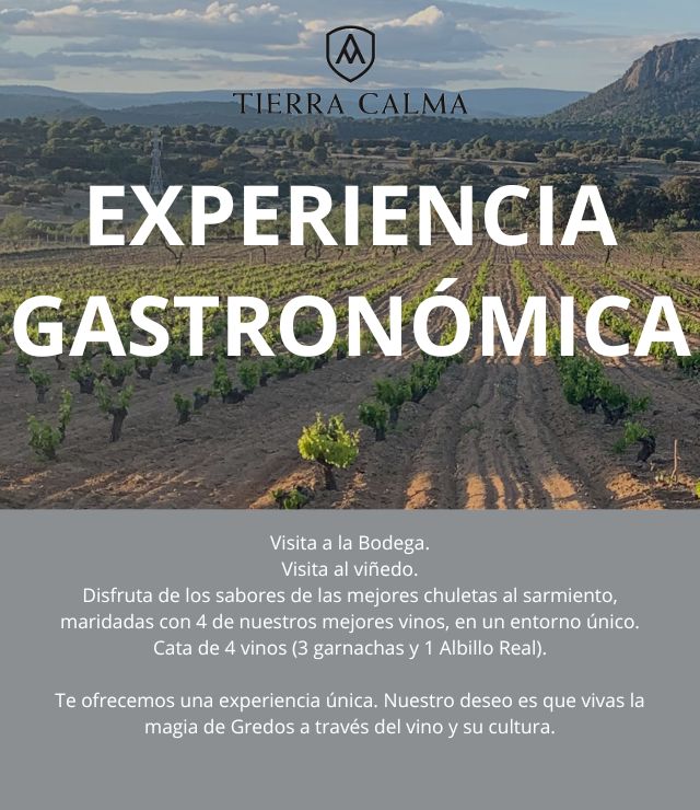 Experiencia Gastronmica