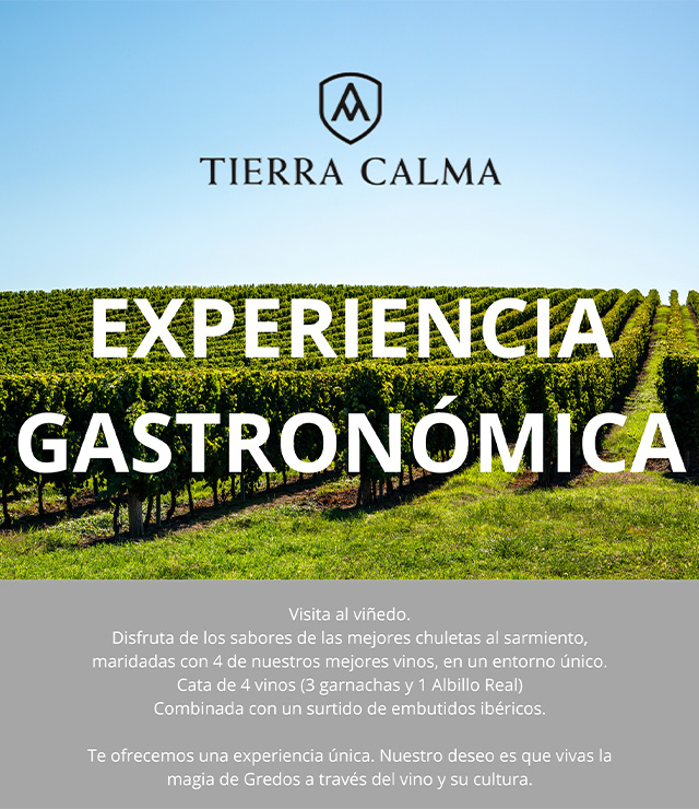 Img E gastronomica