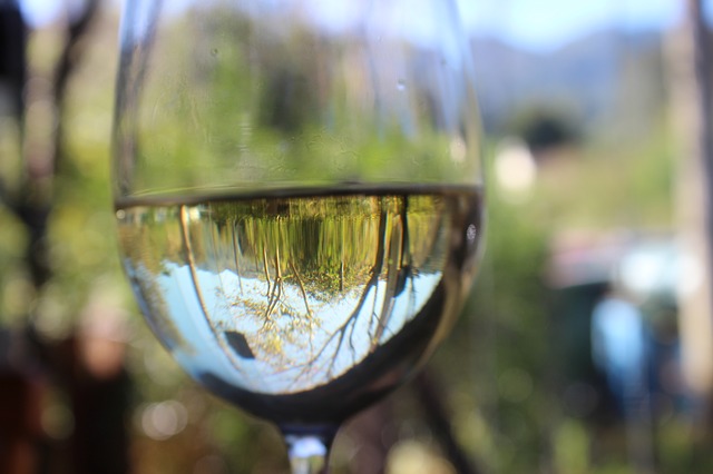 Distintos tipos de vinos blancos